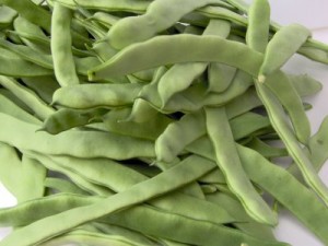 taze-fasulye taze-fasulye