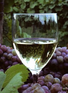 fransa-sarabi fransa-sarabi